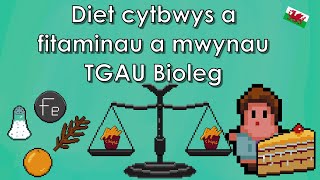 Diet Cytbwys a Fitaminau a Mwynau  CBAC Bioleg [upl. by Ylrahc382]