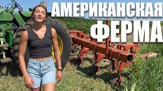 Современная Американская Ферма [upl. by Apoor]