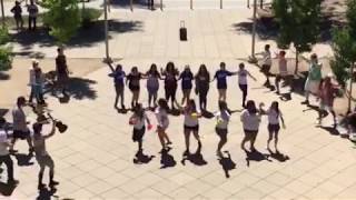 California Love Flash Mob [upl. by Key]