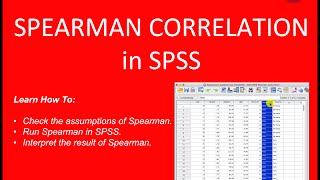 Spearman Correlation SPSS StepByStep Guide [upl. by Mirisola210]