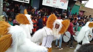 Umaria Mohanpuri Tiger dance 🦁 [upl. by Hartzell34]