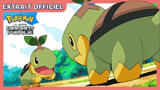 Tortipouss contre Tortipouss  💚  Pokémon  Diamant et Perle Extrait officiel [upl. by Belayneh]