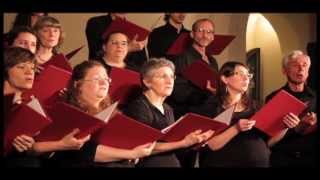 Ave Maria  Anonymous  The Stairwell Carollers Ottawa [upl. by Nyltak]