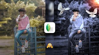 Snapseed Grey And Bird Effect Photo Editing Tricks 🔥  Snapseed Background Colour Change Tutorial [upl. by Bricker829]