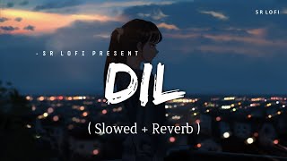 Duniya Ye Jeet Gayi dil har gaya new song  slowed reverb  new song  slowedandreverb [upl. by Denn615]