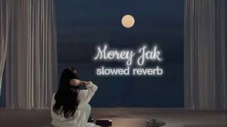 Morey Jak slowed reverb Pritom hasan [upl. by Barnett74]