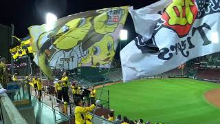 Hanshin Tigers “Nijikai” in Hiroshima 4302024 [upl. by Ulick]