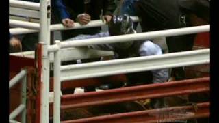 Canadian Cowboys Association Junior Bull Riding Highlights Canadian Western Agribition [upl. by Dukie]