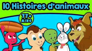 10 Histoires danimaux  Histoire Pour Sendormir  Contes De Fées en Français  Histoire [upl. by Alysia540]