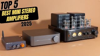 Best Mini Stereo Amplifiers 2025 [upl. by Stahl]