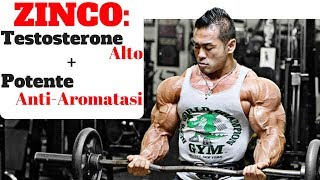 ZINCO Integratore importantissimo per gli SPORTIVI  TESTOSTERONE amp ESTROGENI [upl. by Ratib]