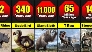 When Did Different Animals Gone Extinct  Time Periods Of Extinction Of Different Extinct Animals [upl. by Collis203]