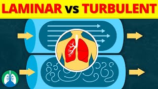 Laminar vs Turbulent Flow in the Lungs EXPLAINED [upl. by Ianahs184]