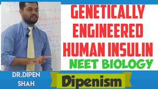 GENETICALLY ENGINEERED HUMAN INSULIN  Applications of Biotechnology  Class 12 CBSE NEET Dipenism [upl. by Audette]