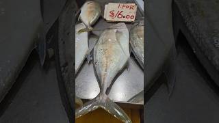 Geylang Serai Market fish [upl. by Yetnom]