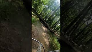 North Park Mountain Biking mtb mountainbike diamondback northpark tree [upl. by Euqinorev630]