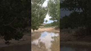 Lower barracks trail Utah articat wildcat barrackstrail [upl. by Secnirp]