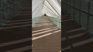 Dubai Water Canal Foot Bridge dubai canal 2024 jumeirah architecture [upl. by Neelon946]