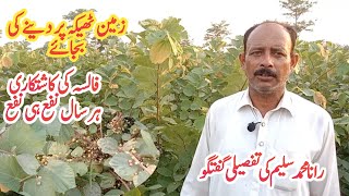 Falsa Farming  Phalsa Farming  Falsa Cultivation  Grewia Farming [upl. by Etnomal]