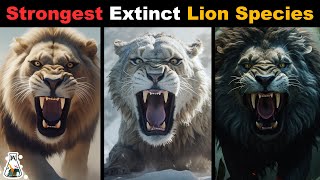 6 Most Powerful Extinct Lion Species [upl. by Limaa912]