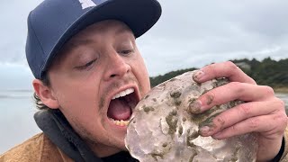 I Ate a Jellyfish [upl. by Brandenburg]