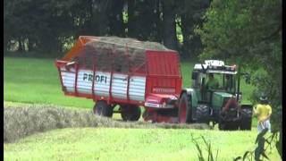 Urlaub auf dem Bauernhof Ein Erlebnistag auf dem Schorer Hof [upl. by Helbonnas]