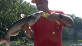 Catch a Channel Catfish in 4 MINUTES or less [upl. by Eibbil]