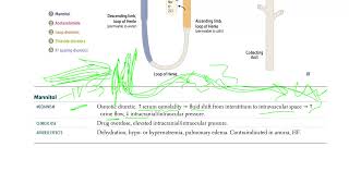 53 Mannitol  Osmotic Diuretic [upl. by Enomar]