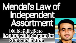 Mendals law of independent assortment  Biology [upl. by Karie]