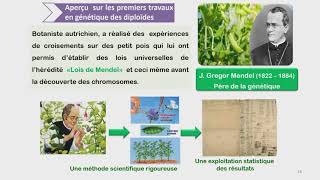 Les lois statistiques de la transmission des caractères chez les diploïdes 2 Bac svt شرح بالداريجة [upl. by Oys981]