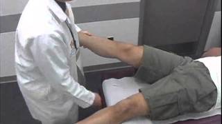 Lateral Collateral Ligament Stability Test [upl. by Uda]