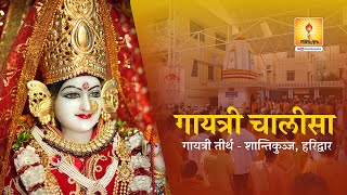 Gayatri Chalisa  मां गायत्री चालीसा  Maa Gayatri KI वंदना  गायत्री परिवार की गायत्री चालीसा [upl. by Paluas]