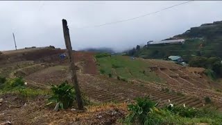 Tanawin ng ProbinsyaMadaymen Kibungan Benguet buhayprobinsya [upl. by Stoughton82]