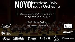 quotHungarian Dance No 1quot Brahms  NOYO Sinfonietta Strings [upl. by Cadmarr331]