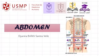 Medicina 1  Sesión 8A  Examen semiológico de abdomen  Dyanira Santos  2024  2 [upl. by Fancie]