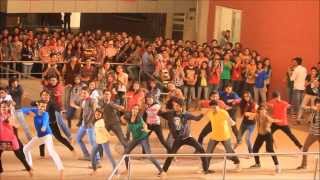 FLASHMOB 2014  VERVE 14 OVERHEAT [upl. by Llewoh]