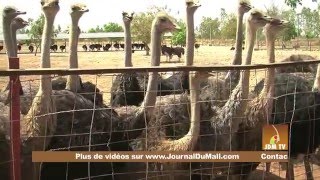 Visite guidée de la Ferme agricole KLEDU [upl. by Mikal414]