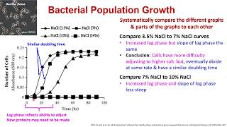 Microbiology Lab 5 Bacterial Growth [upl. by Lindeberg]