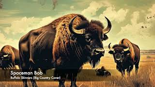 Buffalo Skinners Spaceman Bob Big Country Cover [upl. by Ginzburg]