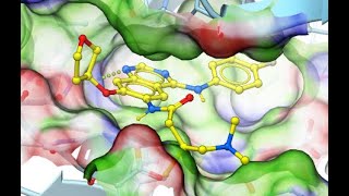 Ligand Docking in ICM Small Molecules Fragments Covalent and TemplateBased Methods [upl. by Ymmor368]