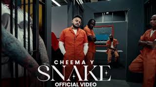 cheema y song snake 🐊🐊🐊🐊🐊 [upl. by Ecinnahs]