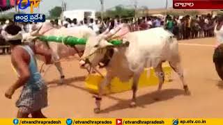 Ongole Bull Race Competition held At Anantapur [upl. by Baxter]