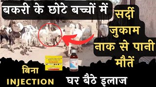 बकरी के बच्चों में सर्दी जुकाम 👉 घर बैठे इलाज Bakri ke Bacche ko sardi Jukam lag jaye to kya karen [upl. by Immot]