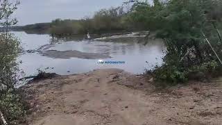 Peligran por cocodrilos habitantes de la Laguna Alotengo de Pinotepa Nacional Oaxaca [upl. by Amal]