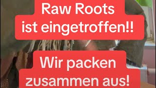 Raw Roots  ab jetzt bei Shapati Dreads  Ich zeig euch was es alles gibt [upl. by Rossen]