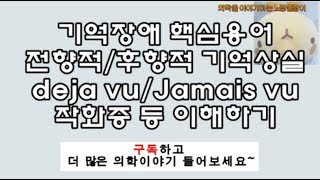 전향적후향적 기억상실Anteroretrograde amnesia Deja Vu기시감 jamais Vu미시감 작화증confabulation [upl. by Jenn]