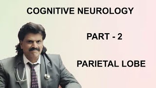 COGNITIVE NEUROLOGY  PART 2  PARIETAL LOBE [upl. by Ordnajela781]