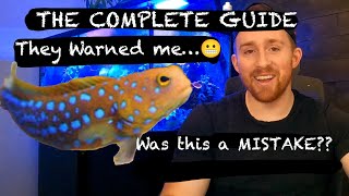 How To Care For Blue Spotted Jaw Fish The Story of William 🐠 [upl. by Dougald]