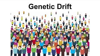 Genetic Drift  Founder Effect amp Bottleneck Effect [upl. by Edahsalof]