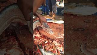 Ball fish cutting skill by expert 🔪🐟🐟 fish ball viralvideo shorts video youtubeshorts short [upl. by Boy]